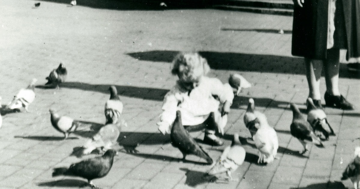 I erindringerne beskrives byens liv, som det er oplevet i private hjem og ude i gadebilledet. Her fodrer en lille pige duer på Rådhuspladsen. Foto: ukendt fotograf, 1943, Københavns Stadsarkiv.