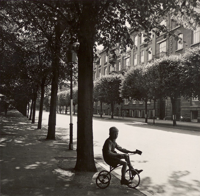 Dreng på trehjulet cykel på allé af Lindetræer