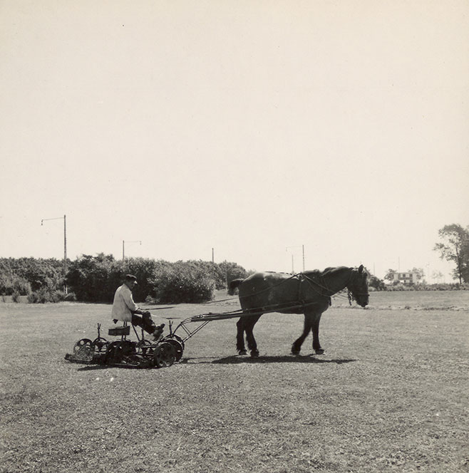 Hestetrukken græsslåmaskine